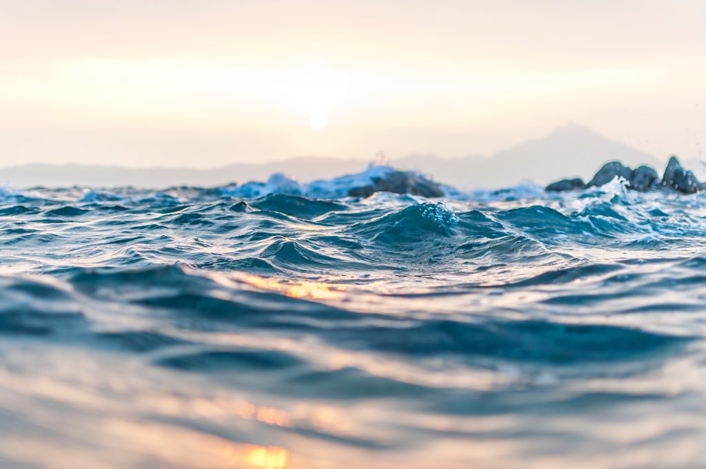 Chile and the entire world celebrate the adoption of the first United Nations Treaty to protect the Oceans