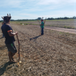 Imagem: guerreiros Guarani Kaiowá na retomada do tekoha. Fonte: Aty Guasu