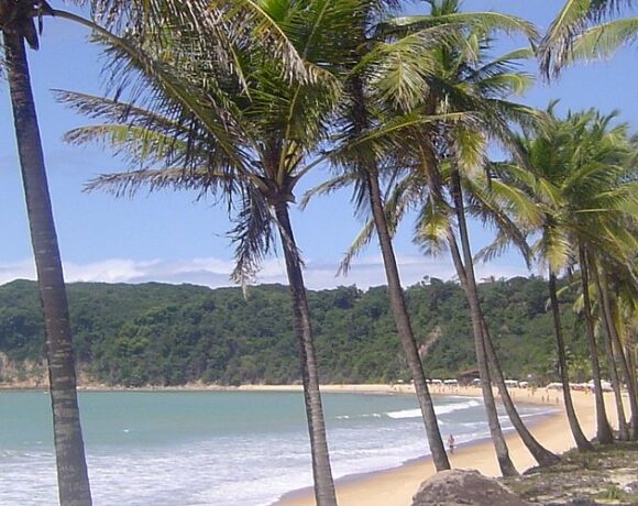 Playa de los delfines. Pipa